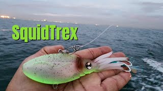 Best Squid Lure Ever Made  Nomad Squidtrex for Barred Sand Bass [upl. by Gilmer]