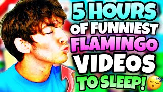 5 HOURS OF “FUNNIEST” FLAMINGO TO FALL ASLEEP [upl. by Hniht]