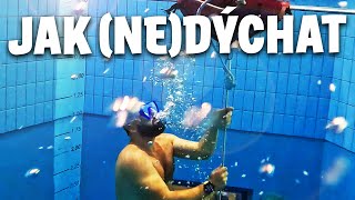 PRVNÍ FREEDIVE DO 8 METRŮ Jak Šetřit Vzduch Pod Vodou  Kurz Air Saver [upl. by Tamera]