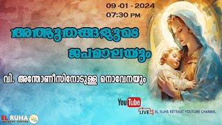 അത്ഭുതങ്ങളുടെ ജപമാല 🌹0730 pm 🕊️ ചൊവ്വ 090124💒 [upl. by Donadee440]