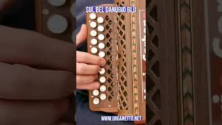 Shorts  8 Bassi  SUL BEL DANUBIO BLU  Accordion diatonic organetto [upl. by Nameloc]