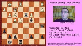 Chess  The Catalan Opening for black  Open Defense with 7 Ne5 Nc6 8 Bxc6  Part 3 [upl. by Hcurob72]