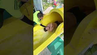 Fun at the 🥱😲💦water park running trampoline Assument waterpark viralvideo youtubeshorts shorts [upl. by Acireh]