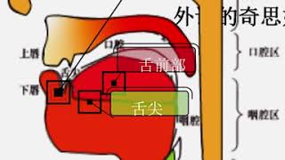 英语音标舌位结构图2单元音短元音48个英语音标pronunciation in englishpronunciation of englishenglish pronunciation [upl. by Eded]