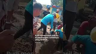 VIRAL Penemu Gading Gajah Purba di Sragen Dapat Kompensasi Rp 1 Juta Warganet UMR Aja Gak Segitu [upl. by Nyrhtakyram667]