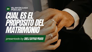 Cual es el proposito del matrimonio en el islam [upl. by Mori]