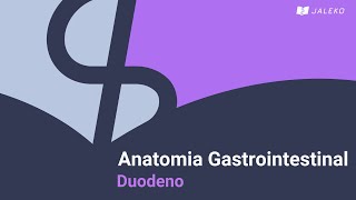 Anatomia gastrointestinal  Duodeno [upl. by Dnomaj]