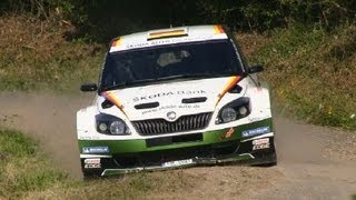 Rallye Deutschland Tests Wiegand Evans Andersson Chardonnet Kremer Riedemann P3 Test [upl. by Sibell]