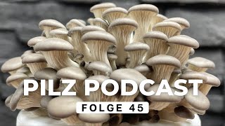 Pilz Podcast Folge 45  Pilze sammeln amp züchten mit drrattenkaiser5275 derpilzfluesterer [upl. by Mcnamee]