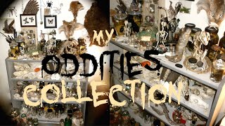 My Oddities Collection [upl. by Yrad260]