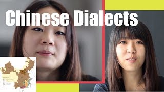 Chinese Dialect Comparison  Differences Between Chinese Dialects [upl. by Alfredo]