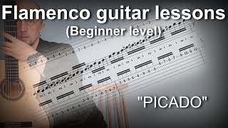 Flamenco guitar lessons  Beginner level  Picado [upl. by Eidoc110]