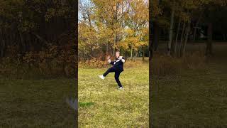 Tornado kick taekwondo kicking martialarts smooth thanksgiving [upl. by Lindsy]