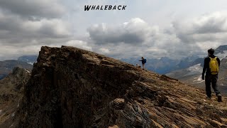 Whaleback  Isolated Peak in Yoho BC Rocky Mountains [upl. by Wooldridge]