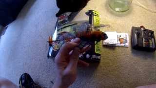 Air Hogs Havoc Stinger Review [upl. by Ahsined]