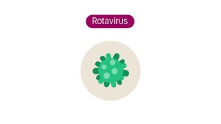 Wat is het rotavirus [upl. by Ivatts]