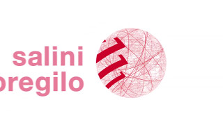 Salini Impregilo Highlights 2016 [upl. by Yelich]