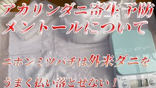 【 ニホンミツバチ 】アカリンダニ寄生予防のメントールについてご紹介します。ニホンミツバチは外来ダニをうまく払い落とせない [upl. by Nodnarbal]