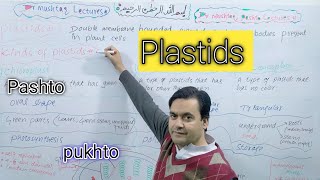 Plastids  Class 11  Biology  Chapter 1  Dr Mushtaq Pashto Lectures [upl. by Hahcim]