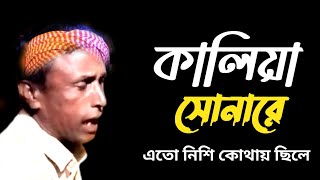 কালিয়া সোনারে এতো নিশি কোথায় ছিলে kaliya sonare ato nisi kothay cile [upl. by Earb]