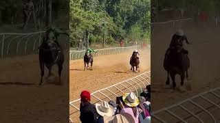 El ladrillero 🆚 el pistolas ccristo rey 🆚 c Mal ejemplo caballos horse caballos [upl. by Acila]