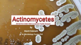 Actinomycetes [upl. by Service]