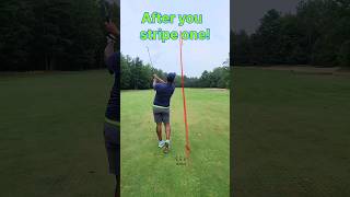 Beaver Tail Message🏌🏾‍♂️ golfer golfrules challenge score nature tgvgolf [upl. by Tonjes324]