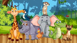 Jungle Jamboree song ampkids song [upl. by Alikam824]