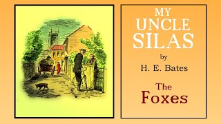 THE FOXES – Comic tale by HE Bates [upl. by Dougherty]