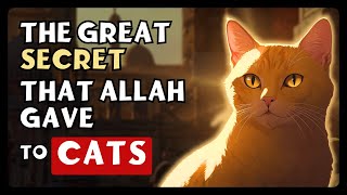 The Amazing MYSTERIES of CATS in Islam [upl. by Zabrina]