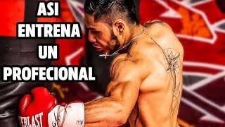 Boxeador muestra su entrenamiento de boxeo completo  J Miguel Borrego [upl. by Orlena146]