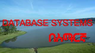 DATA CONTROL LANGUAGE  grant revoketin SQL Server  in Amharic  በአማርኛ [upl. by Sylado32]