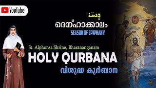 SyroMalabar H Qurbana  Fr Michael Ouseparampil  0530 AM  11012024 [upl. by Eeramit]