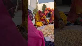 Rajputi Rituals trending shorts viralvideo [upl. by Nnylirret957]