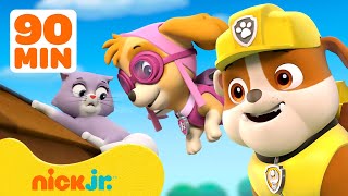 PAW Patrol  ¡PAW Patrol ayuda a los animales de Bahía Avenutras  Nick Jr en Español [upl. by Attenrad]