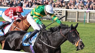 Cheltenham Festival winner The Shunter lands £200000 Cesarewitch Handicap at Newmarket [upl. by Enelam832]