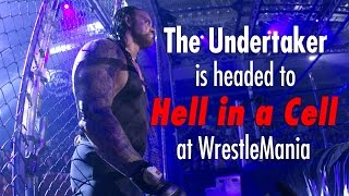 What you need to know about The Undertaker and Hell in a Cell  What you need to know [upl. by Kelley]