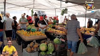 FEIRA EM CANAPI AL COM PREÇO REDUZIDO E MUITA FARTURA E POVO ANIMADOnordeste [upl. by Parrnell]