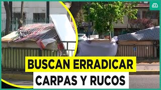 Buscan erradicar carpas y rucos en la RM La Contraloría emite oficio para controlarlas [upl. by Rexer953]