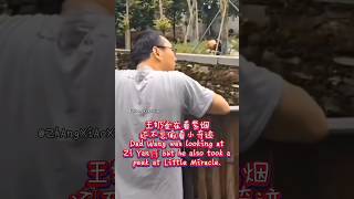 王奶爸小奇迹有趣搞笑❤️Dad Wang  Little Miracle  Fun and Funny大熊猫小奇迹 大熊猫宝力 大熊猫青宝 大熊猫谊谊 大熊猫暖暖 [upl. by Brigitta834]