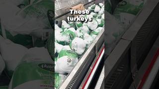 Costcos turkeys are finally here [upl. by Nimajeb]