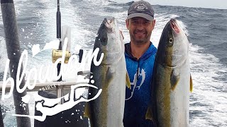 YELLOWTAIL FEVER  STRUISBAAI  HOW TO FISH YELLOWTAIL WITH HANDLINE [upl. by Oznerol]