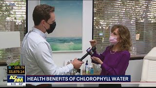 Chlorophyll water What are the health benefits  FOX 10 AZAM [upl. by Hgielhsa]