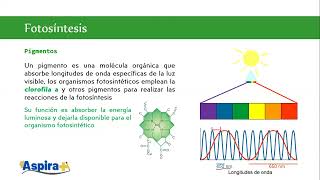 Biología Unidad 2 Sesión 2 UNAM SUAyED  2025 [upl. by Eylrahc]