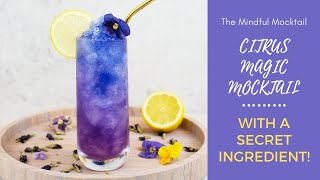 Citrus Magic Mocktail Recipe  Summer Mocktails and NonAlcoholic Cocktails  The Mindful Mocktail [upl. by Allenrad]