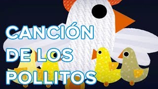 Los pollitos dicen pio pio pio canción infantil [upl. by Yelsnia]