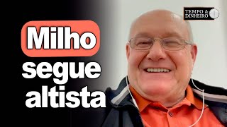 Milho segue altista comenta Vlamir Brandalizze [upl. by Franni]