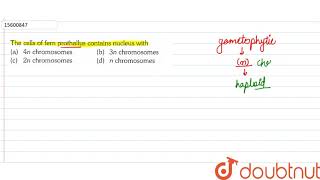 The cells of fern prothallus contains nucleus with  11  PLANT KINGDOM  BIOLOGY  ERRORLESS [upl. by Lemieux]