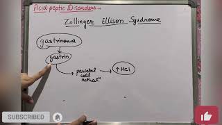 Zollinger Ellison syndrome  Acid Peptic Disorders  Kayachikitsa  Geetaru Shanjalii  Ayurveda [upl. by Rats550]