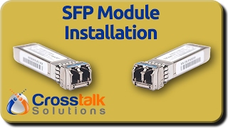 SFP Module Installation [upl. by Nnaeed]